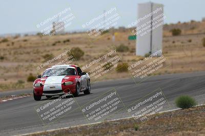 media/May-03-2025-Lucky Dog Racing (Sat) [[206de64b9d]]/Turn 6 (150pm-230pm)/